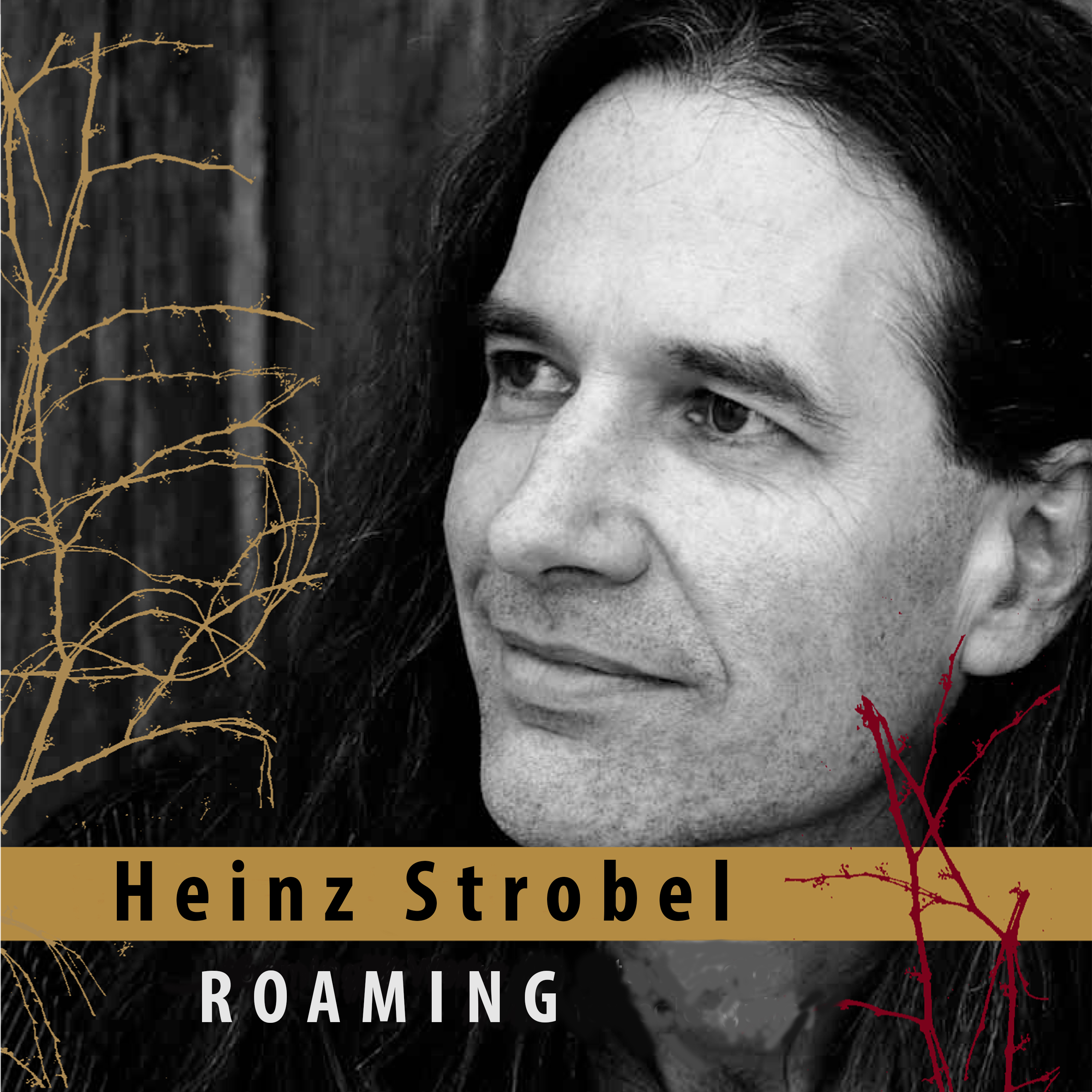 Heinz Strobels CD 